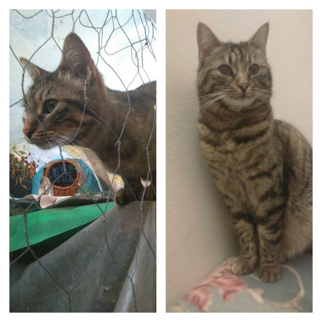 Prima e dopo delle cure