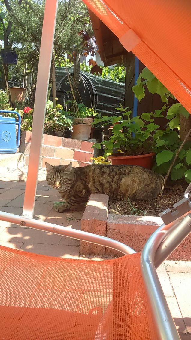 sdraiata in modo strano :D