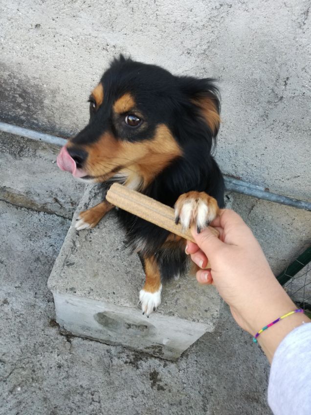 Il mio amore golosone❤