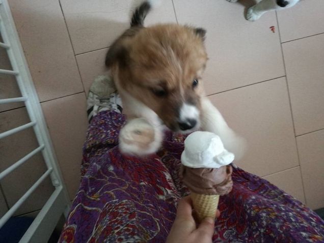 ma quanto bene ci vuoi Kimbo