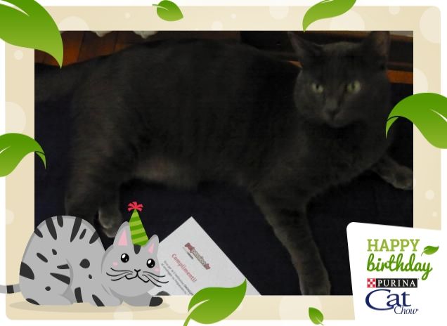 #HappyBirthday Filippo - Ben arrivato a casa !!!!!