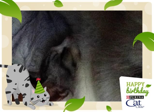 Remì e le sue lunghe dormite 