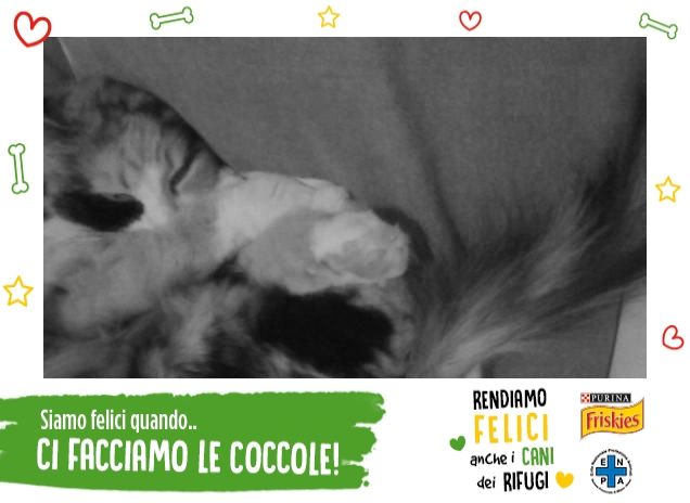 In una giornata di pioggia....