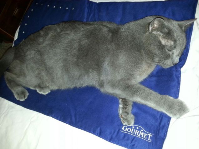 Tato con la copertina cielo stellato