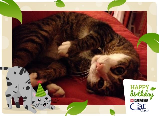 Voglio un po' di coccole!