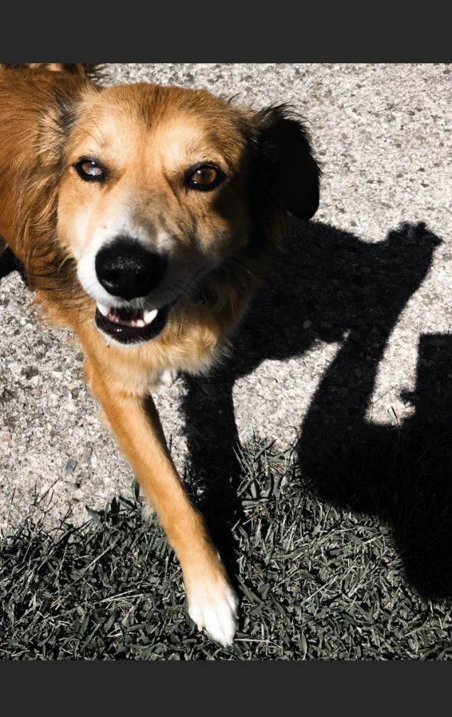 Occhi inconfondibili! 