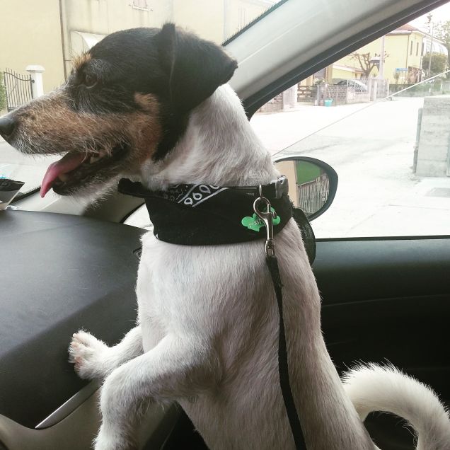 Sono pronto, andiamo!!