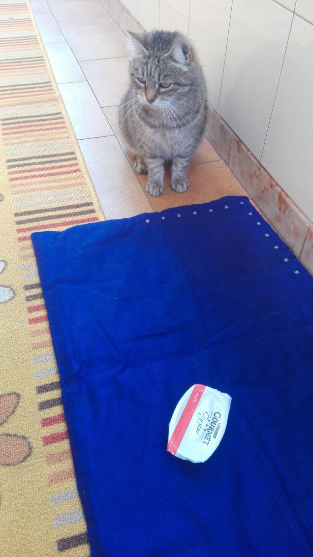 Presentazione ufficiale