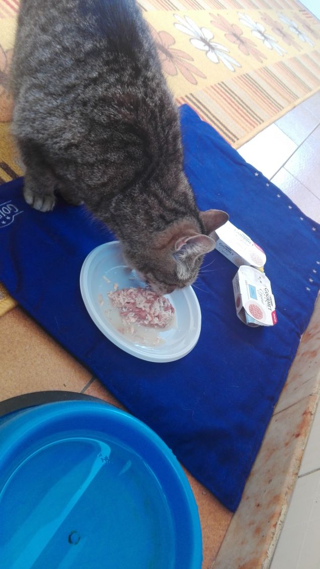 Passiamo all'attacco.......