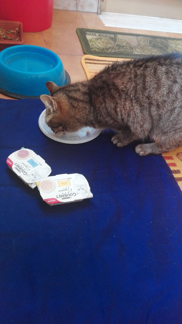 ......ha fatto sul serio!!!