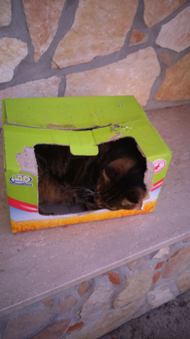 che bello dormire qui :)