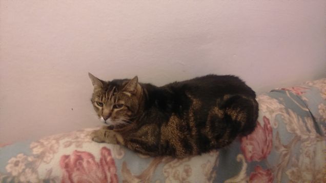 BELLO STARE NEL DIVANO