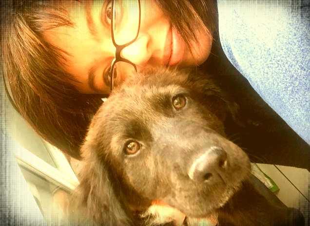 Sei la nostra stellina