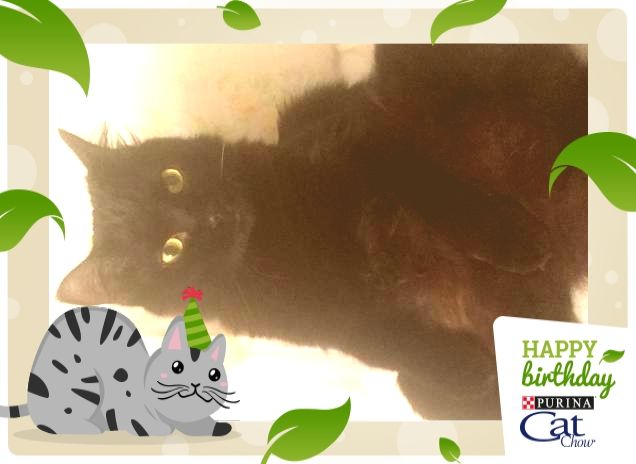 Lulu fa gli auguri!!!