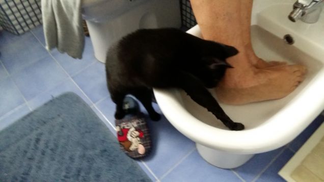 E' impossibile aprire un rubinetto senza che lei non venga a curiosare