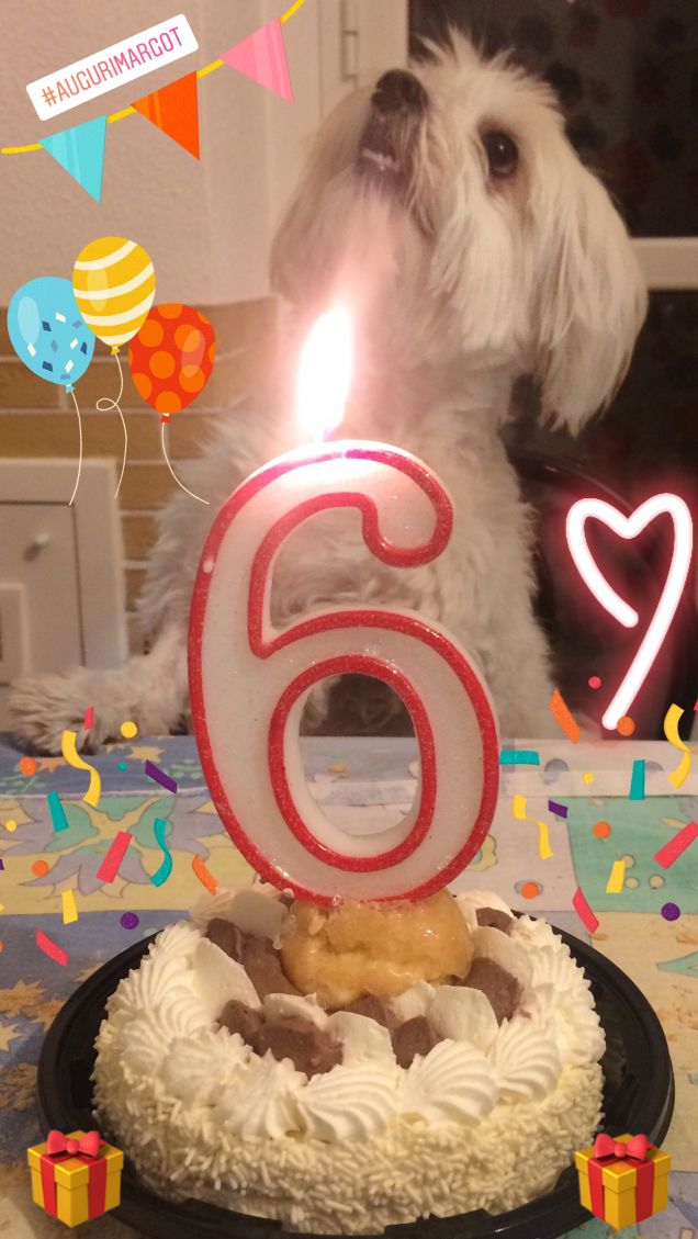 Buon compleanno Margot 