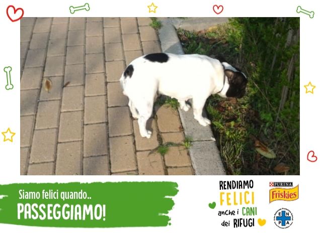 A caccia....di uccelli