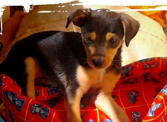 Un nuovo amore grande