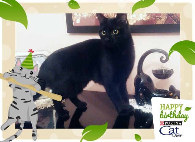 Penny e il suo mini-me