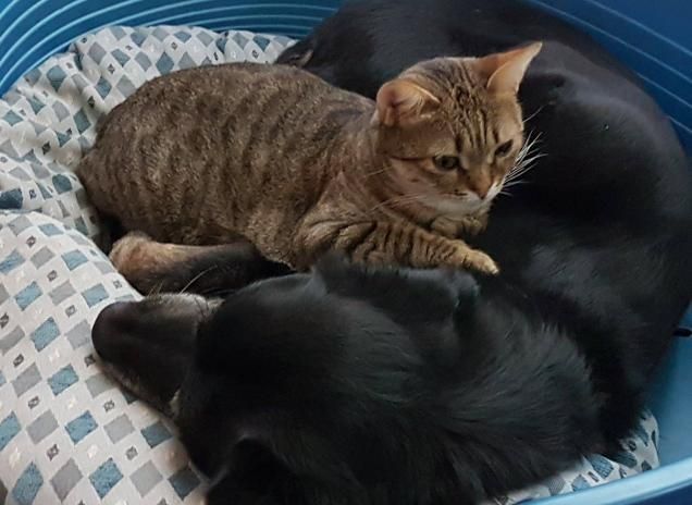 L'amicizia non ha confini...