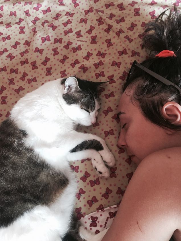 Ghiri da competizione