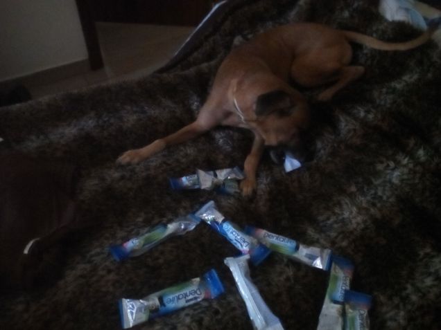 Ator felice con dentalife