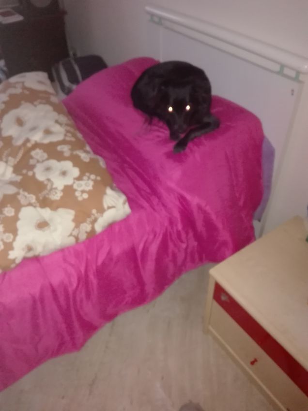 Il tuo cuscino è comodo