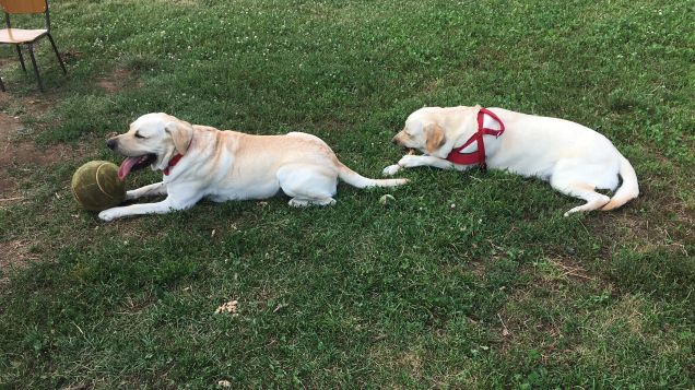 Con la mia amica Yuna 