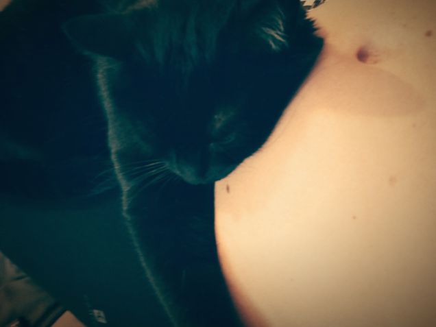 Don't touch my brother