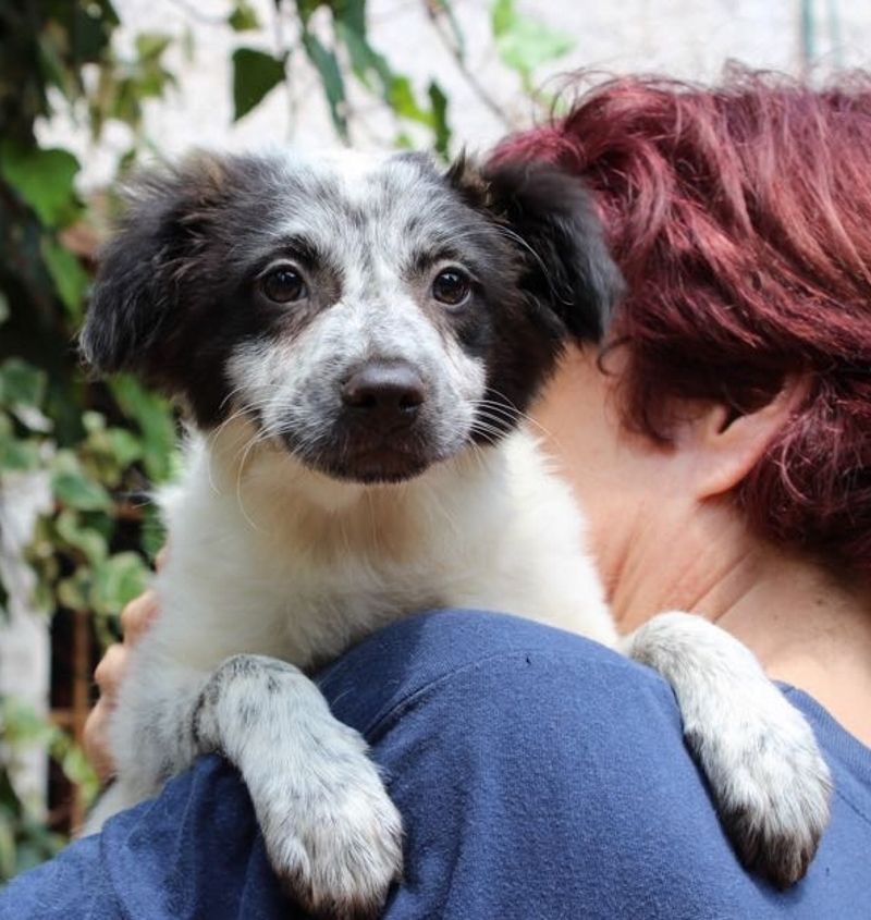 PIMPA CUCCIOLA FEMMINA TAGLIA PICCOLA