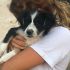 POOKIE cucciola 3 mesi taglia piccola