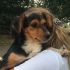 SHIRLEY cucciola 5 mesi taglia piccola