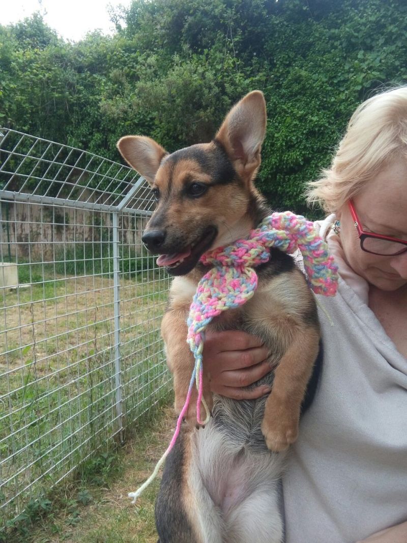 MILÙ ha solo 6 mesi, è una taglia piccola