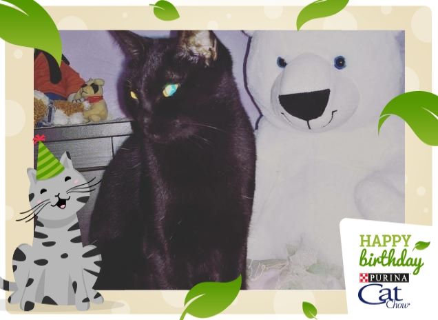 un nuovo peluche ... Giulietta ❤ 