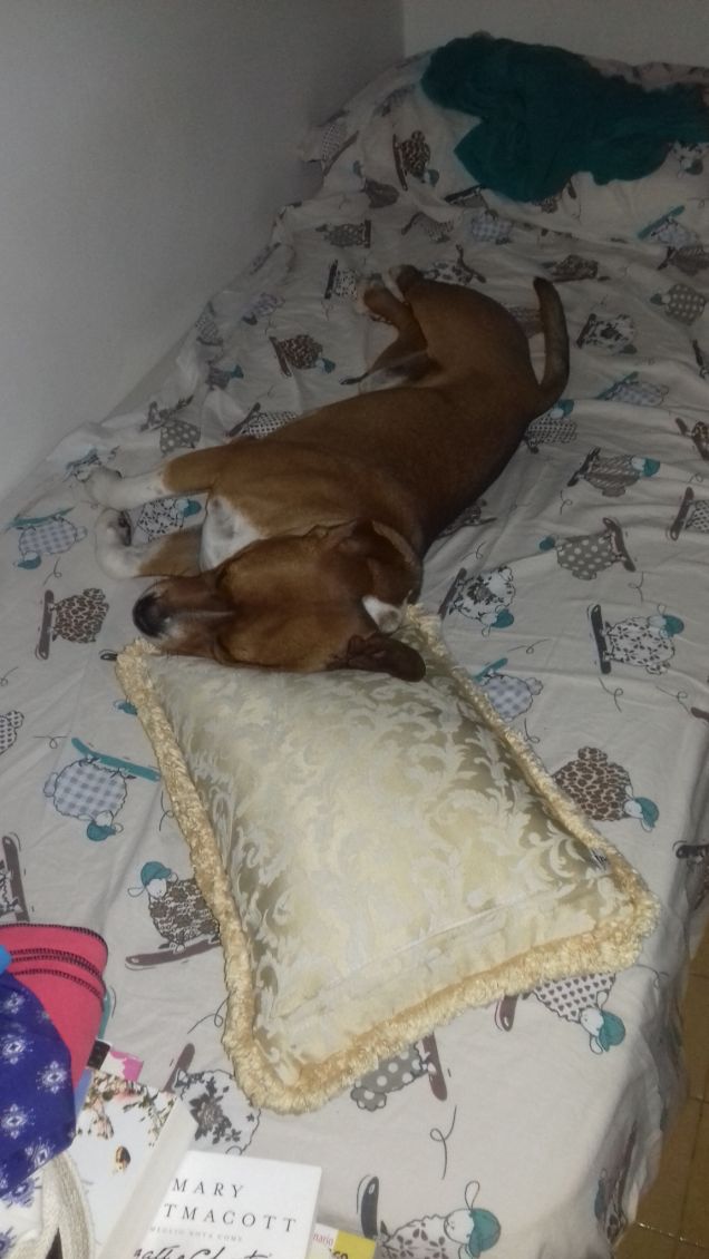 sul letto della mia mamma