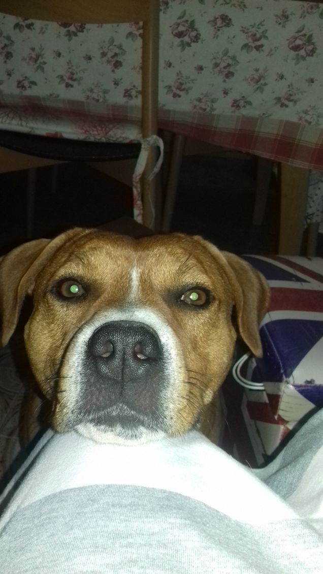 mi dai qualcosa da mangiare?