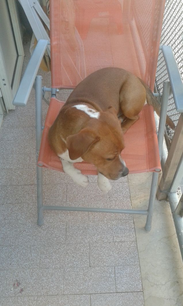 sulla mia sedia preferita