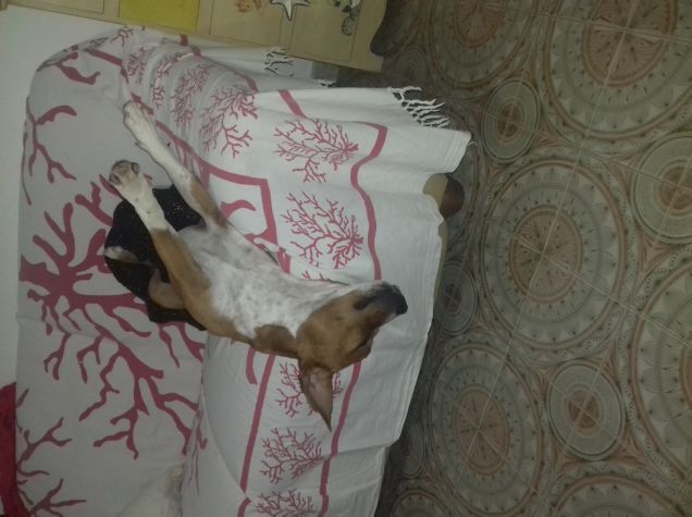 sto volando prego non mi disturbare!