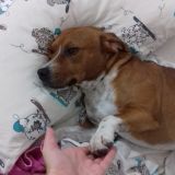 martina