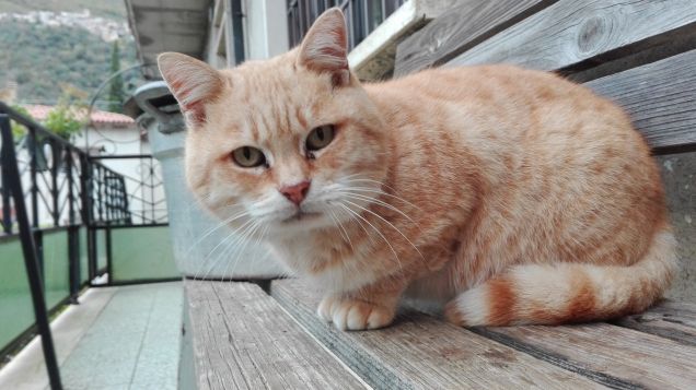 Occhioni nella sua posizione preferita