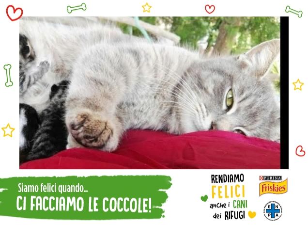 L'immagine della tenerezza