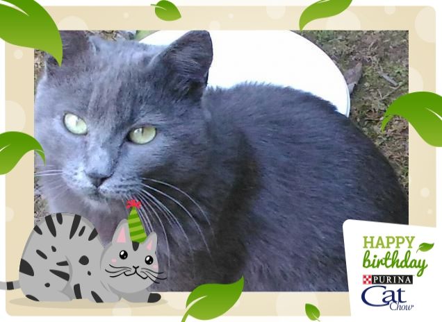 pallino nel giardino