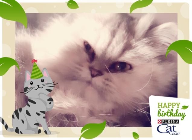 Perla momenti di coccole