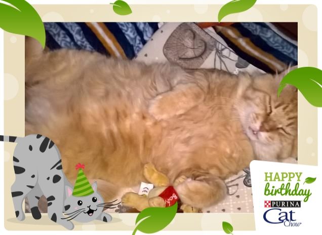 Il mio tesoro più grande