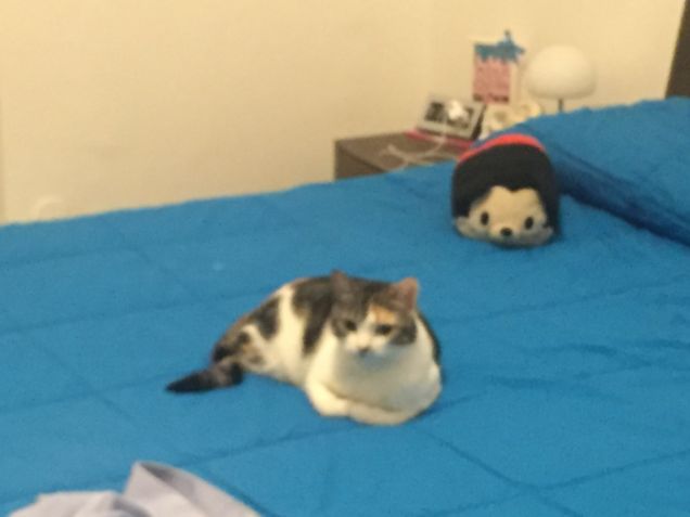 Milly pronta per la nanna