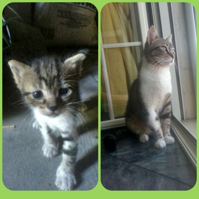 Happy 1 Birthday Cutiee ^^