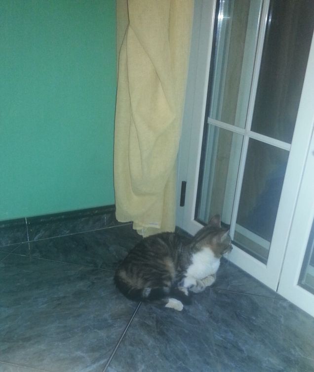 Pensieri notturni...