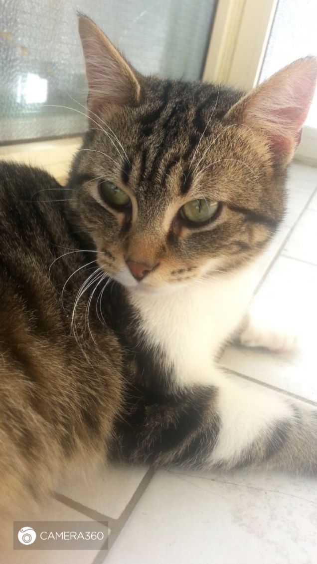 Kiiro fashion blogger 