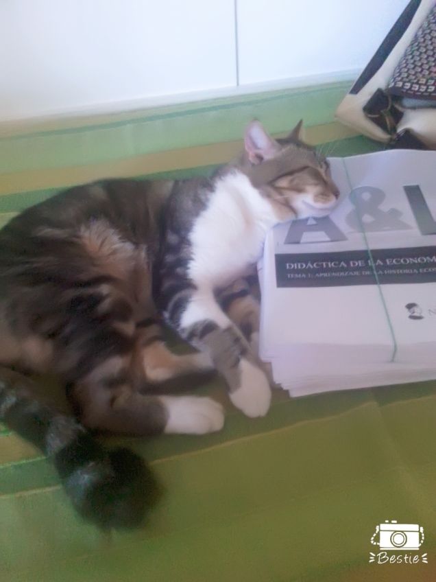 Addormentarsi sui libri pt.1