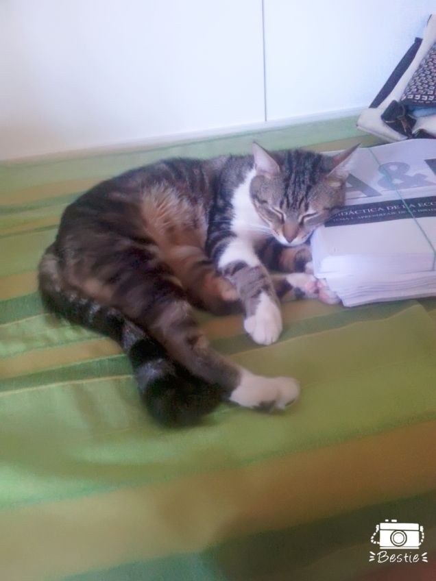 Addormentarsi sui libri pt.2